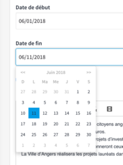 Admin panel date picker